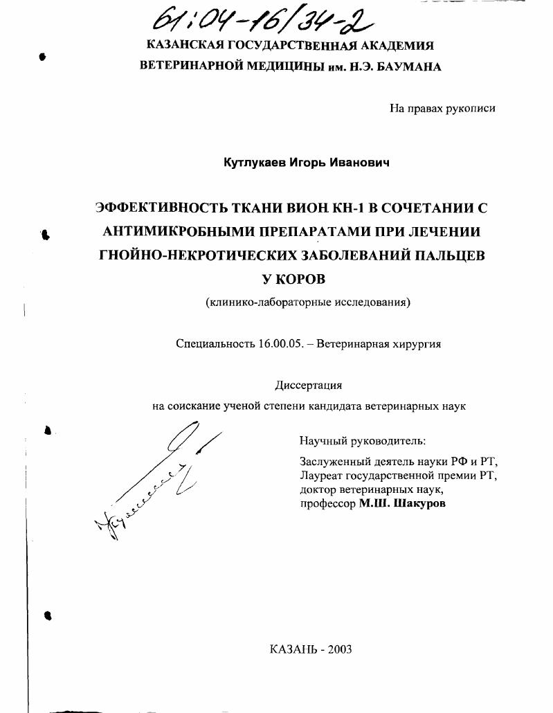 Эффективность ткани ВИОН КН-1 в сочетании с антимикробными препаратами при лечении гнойно-некротических заболеваний пальцев у коров