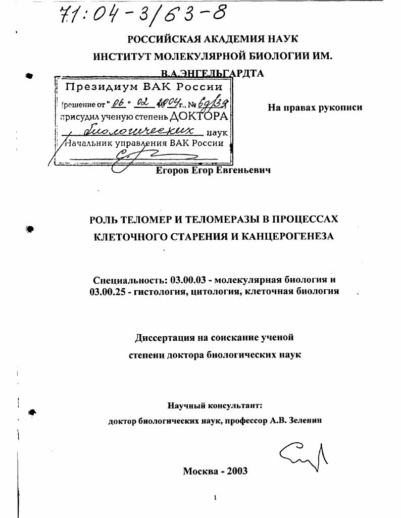 Роль теломер и теломеразы в процессах клеточного старения и канцерогенеза