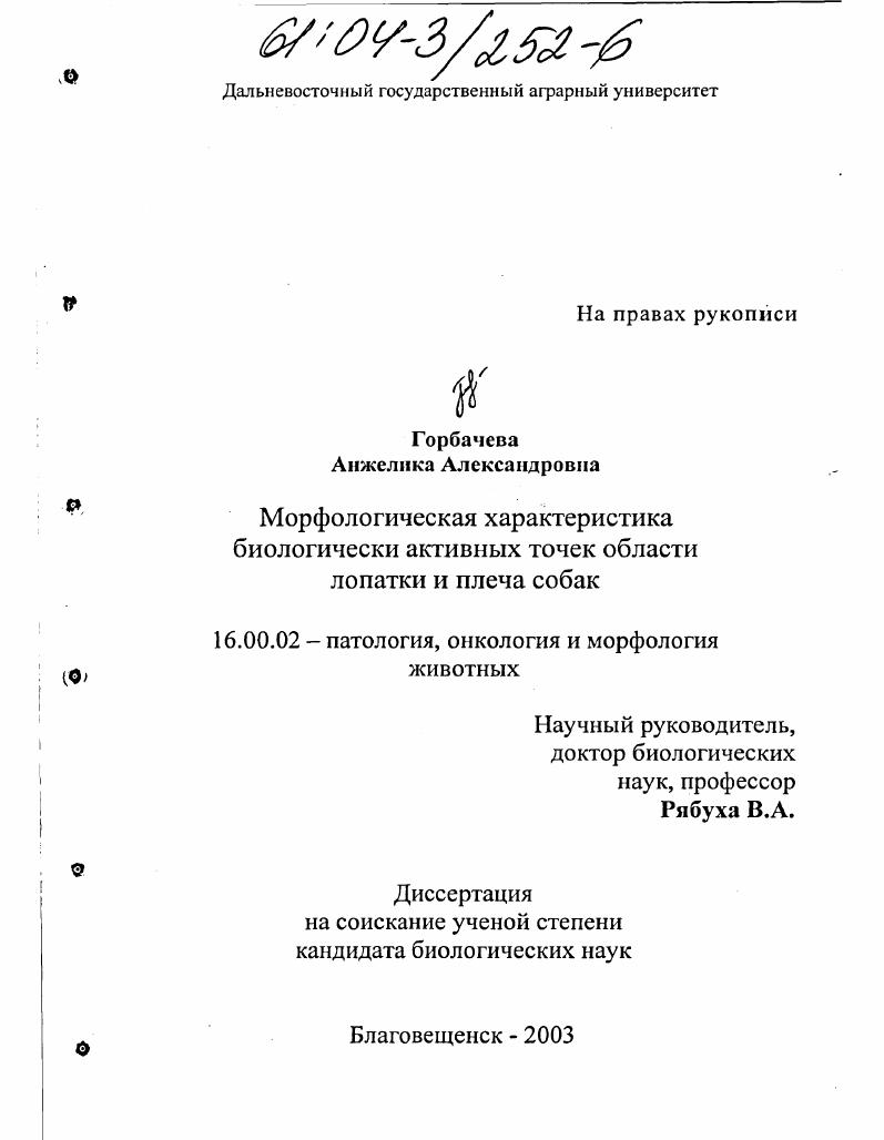 Морфологическая характеристика биологически активных точек области лопатки и плеча собак