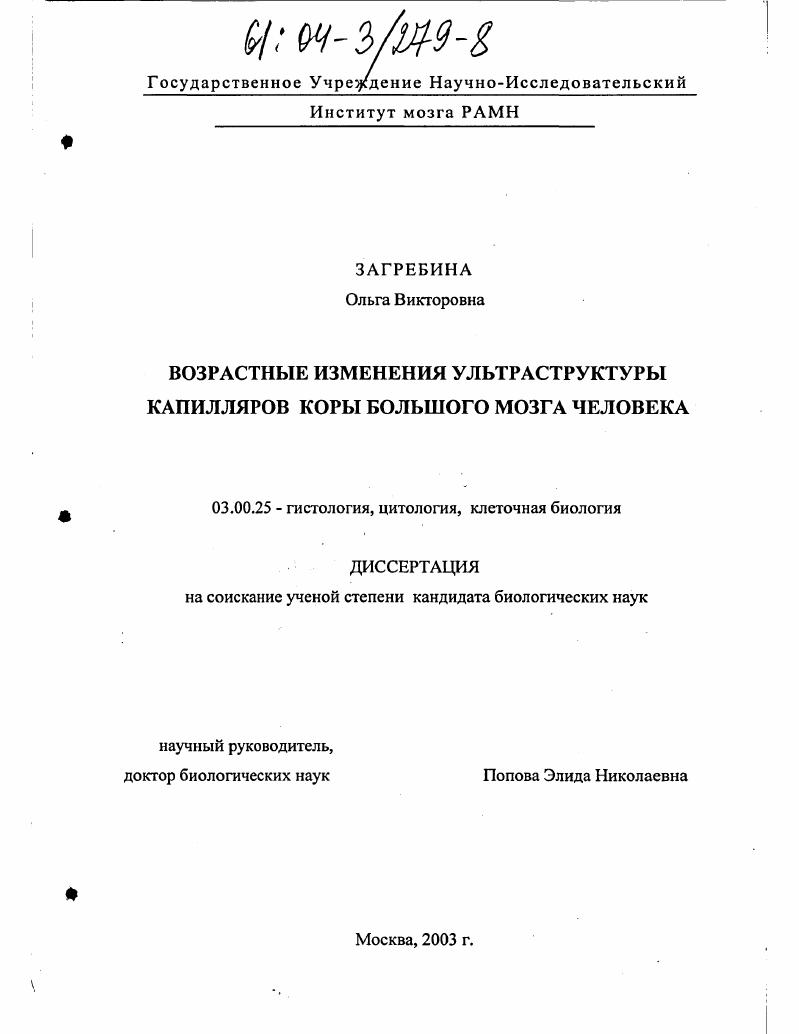 Возрастные изменения ультраструктуры капилляров коры большого мозга человека