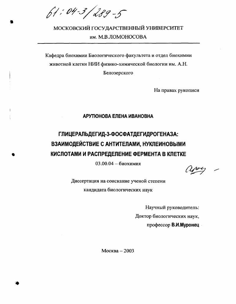 скачать диссертацию Глицеральдегид-3-фосфатдегидрогеназа : Взаимодействие с антителами, нуклеиновыми кислотами и распределение фермента в клетке Глицеральдегид-3-фосфатдегидрогеназа : Взаимодействие с антителами, нуклеиновыми кислотами и распределение фермента в клетке