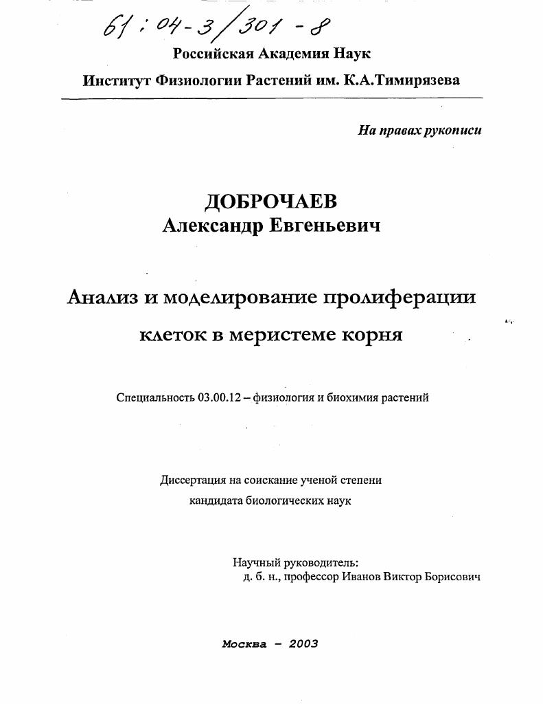 скачать диссертацию Анализ и моделирование пролиферации клеток в меристеме корня Анализ и моделирование пролиферации клеток в меристеме корня