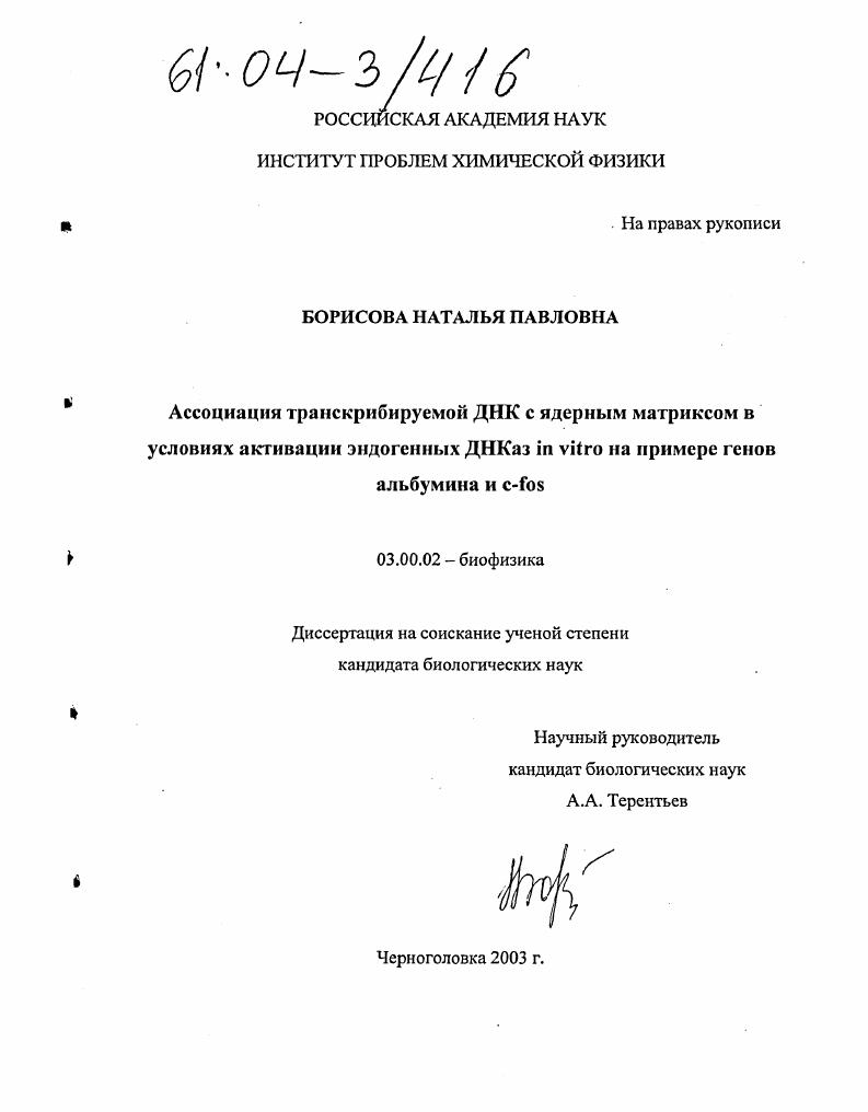 Ассоциация транскрибируемой ДНК с ядерным матриксом в условиях активации эндогенных ДНКаз in vitro на примере генов альбумина и C-FOS