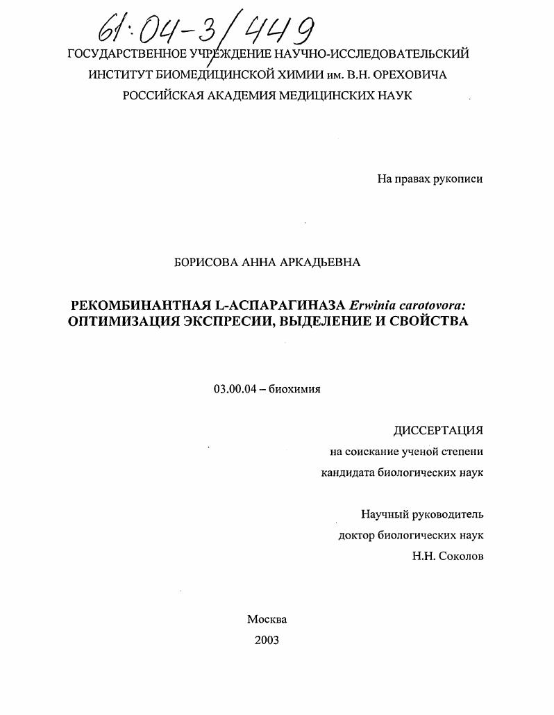 Рекомбинантная L-аспарагиназа Erwinia carotovora: оптимизация экспрессии, выделение и свойства