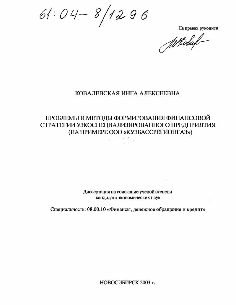 Проблемы и методы формирования финансовой стратегии узкоспециализированного предприятия : На примере ООО "Кузбассрегионгаз"