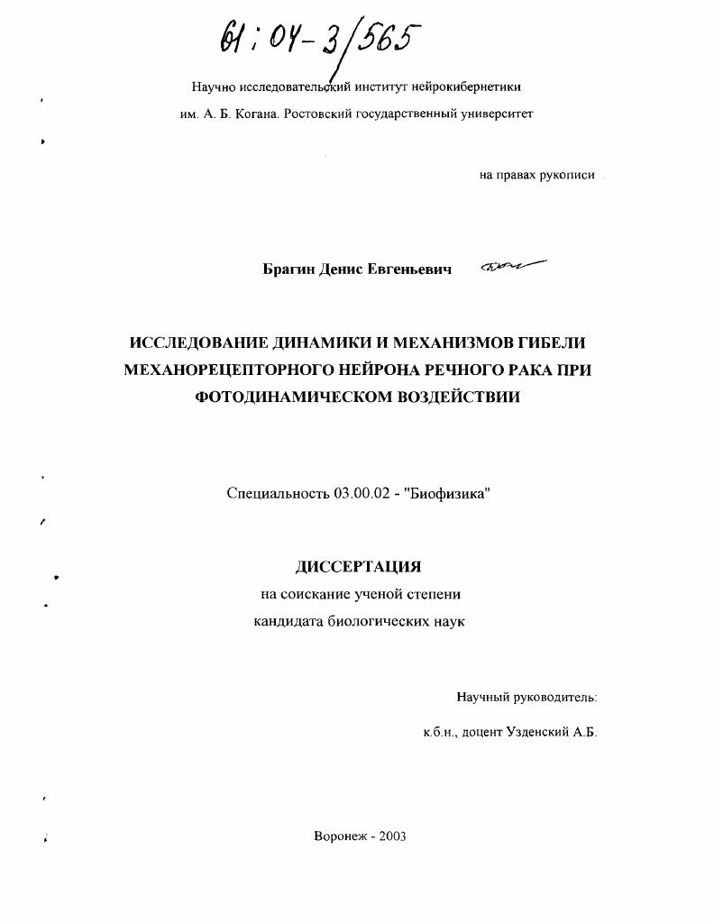Исследование динамики и механизмов гибели механорецепторного нейрона речного рака при фотодинамическом воздействии
