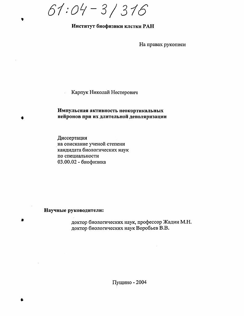 Импульсная активность неокортикальных нейронов при их длительной деполяризации
