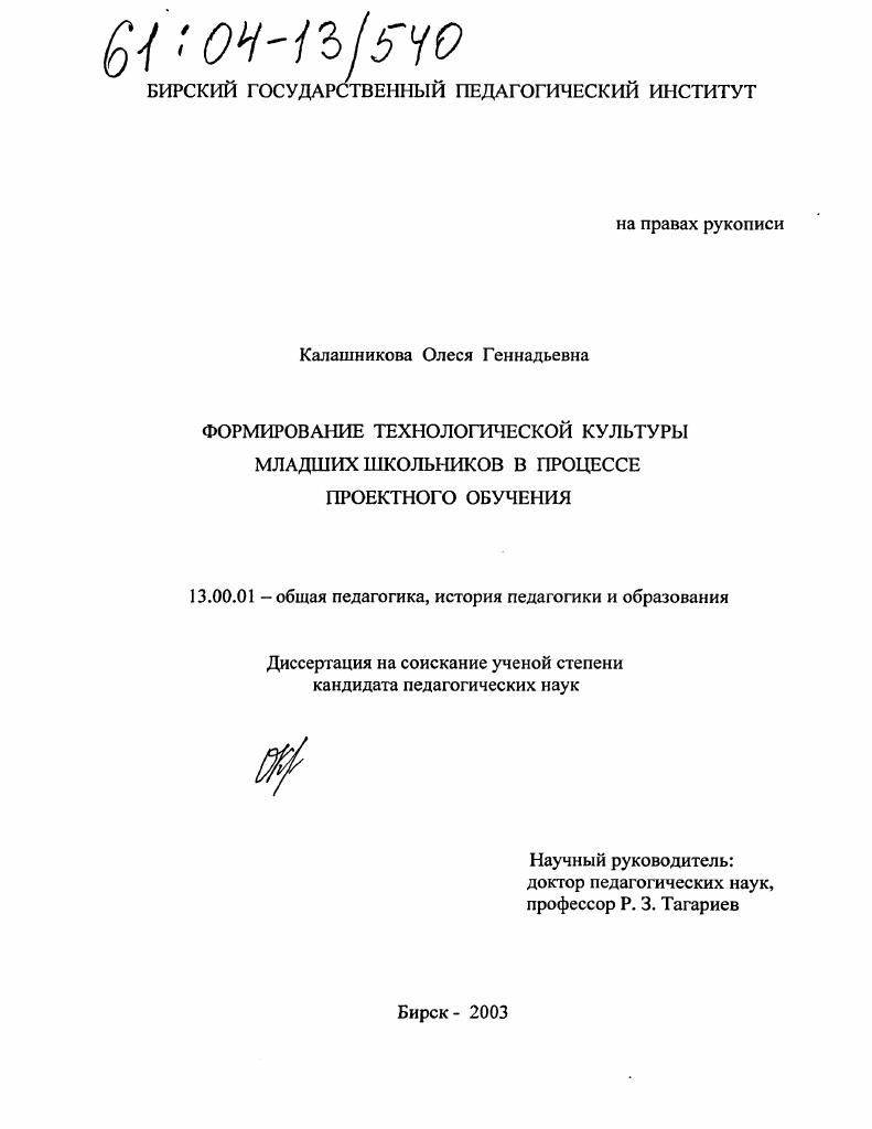 Формирование технологической культуры младших школьников в процессе проектного обучения
