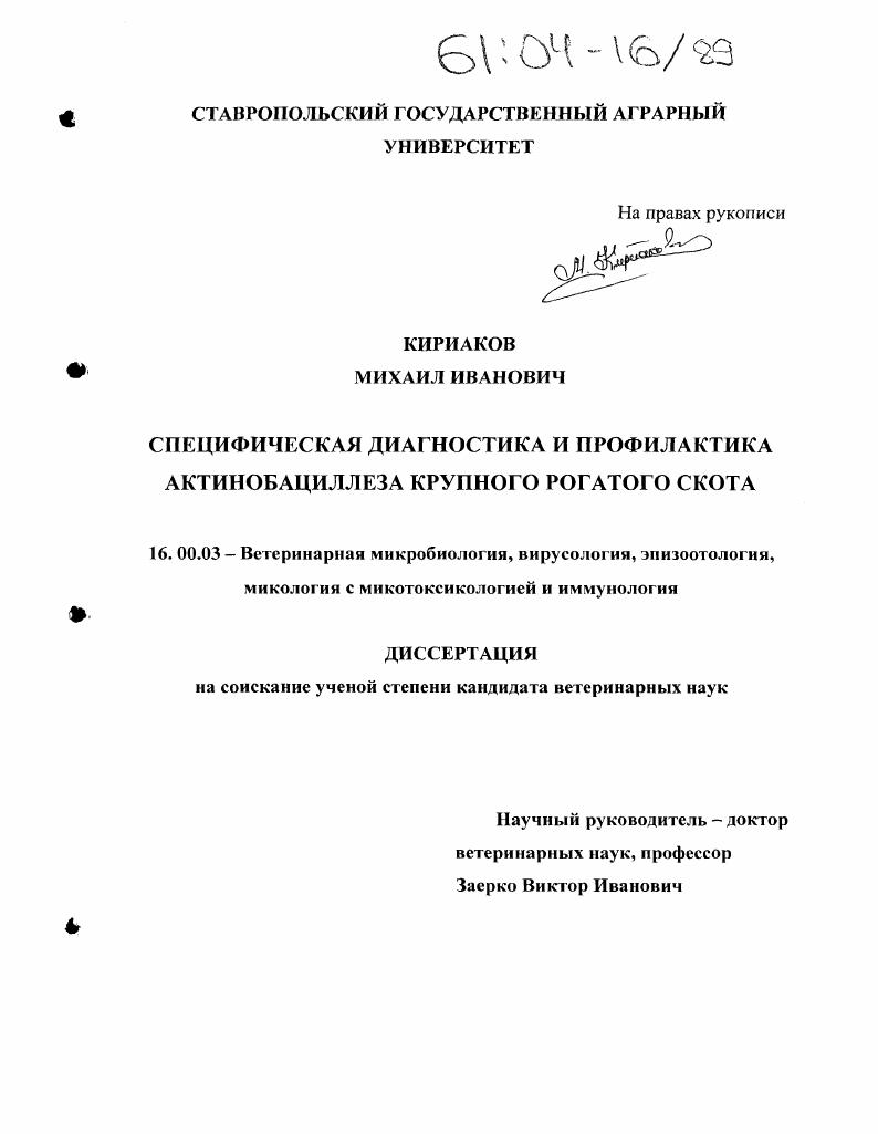скачать диссертацию Специфическая диагностика и профилактика актинобациллеза крупного рогатого скота Специфическая диагностика и профилактика актинобациллеза крупного рогатого скота