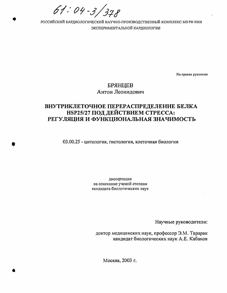 Внутриклеточное перераспределение белка Hsp25/27 под действием стресса: регуляция и функциональная значимость