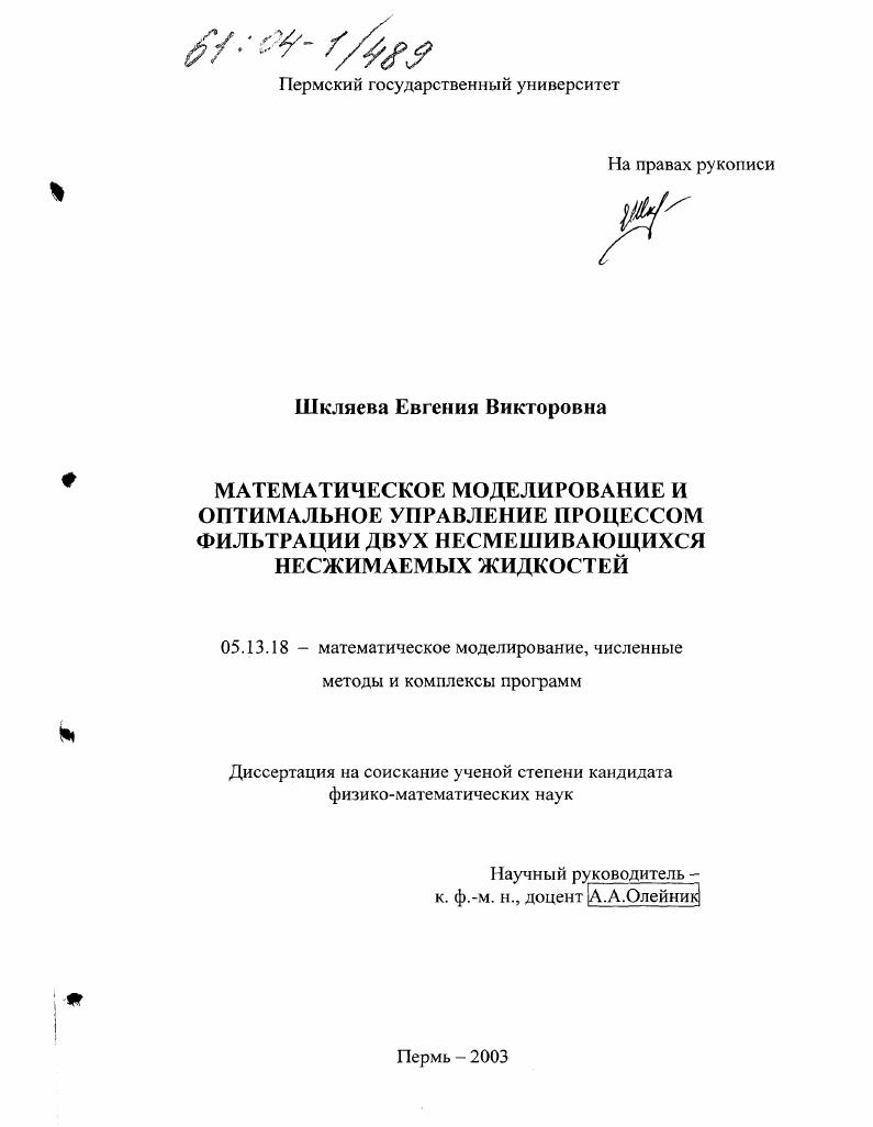 Математическое моделирование и оптимальное управление процессом фильтрации двух несмешивающихся несжимаемых жидкостей
