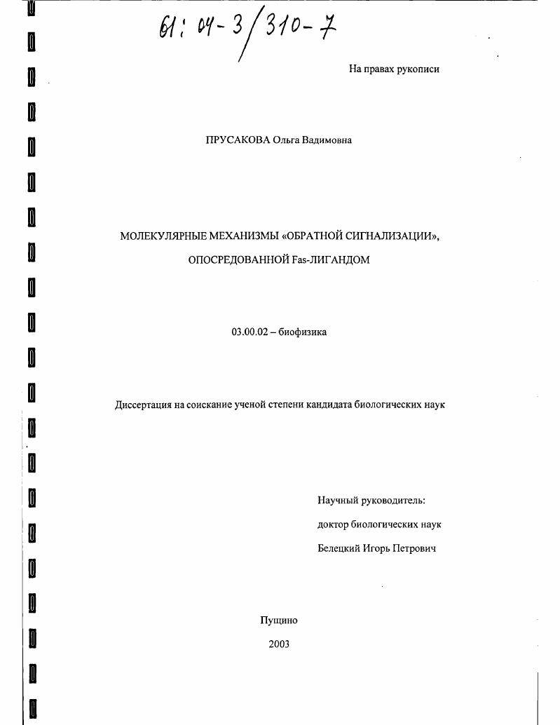 Молекулярные механизмы "обратной сигнализации", опосредованной Fas-лигандом