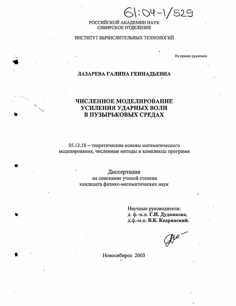 скачать диссертацию Численное моделирование усиления ударных волн в пузырьковых средах Численное моделирование усиления ударных волн в пузырьковых средах