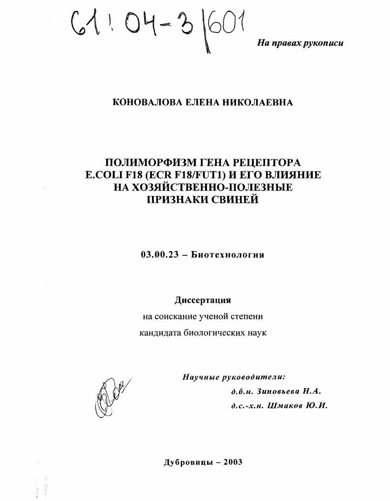 Полиморфизм гена рецептора E.COLI F18(ECR F18/FUT1) и его влияние на хозяйственно-полезные признаки свиней