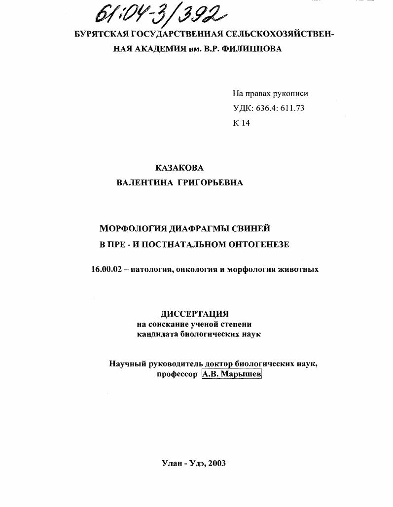 скачать диссертацию Морфология диафрагмы свиней в пре- и постнатальном онтогенезе Морфология диафрагмы свиней в пре- и постнатальном онтогенезе