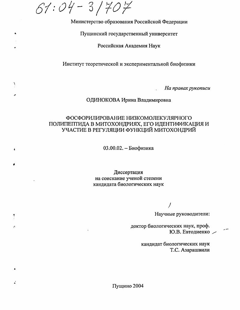 скачать диссертацию Фосфорилирование низкомолекулярного полипептида в митохондриях, его идентификация и участие в регуляции функций митохондрий Фосфорилирование низкомолекулярного полипептида в митохондриях, его идентификация и участие в регуляции функций митохондрий