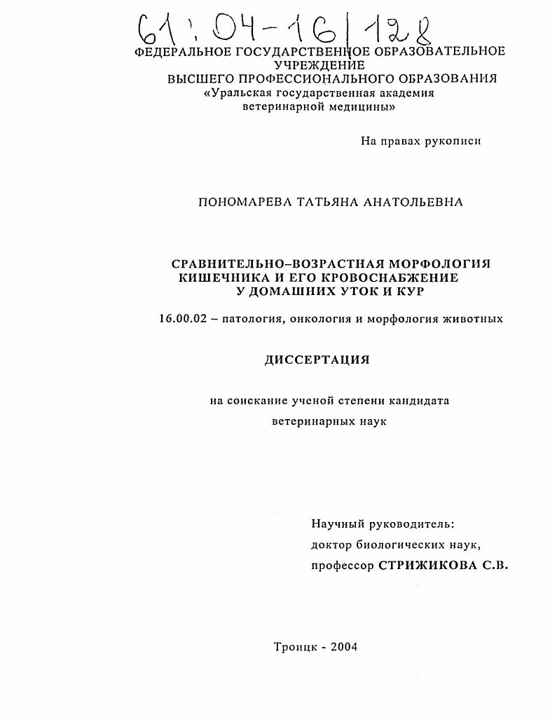 Сравнительно-возрастная морфология кишечника и его кровоснабжение у домашних уток и кур