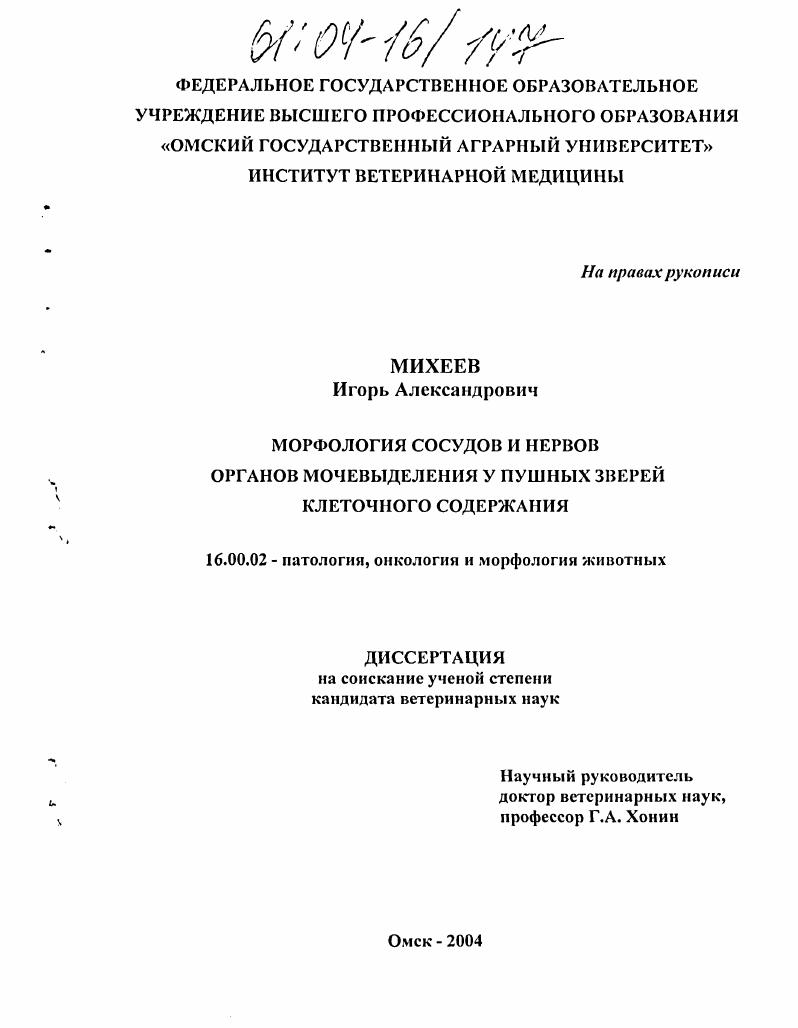 Морфология сосудов и нервов органов мочевыделения у пушных зверей клеточного содержания