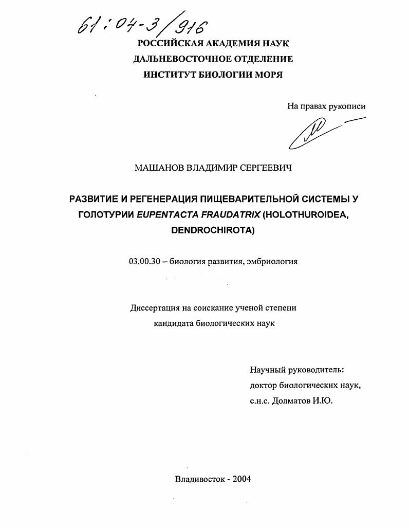 Развитие и регенерация пищеварительной системы у голотурии Eupentacta fraudatrix (Holothuroidea, Dendrochirota)