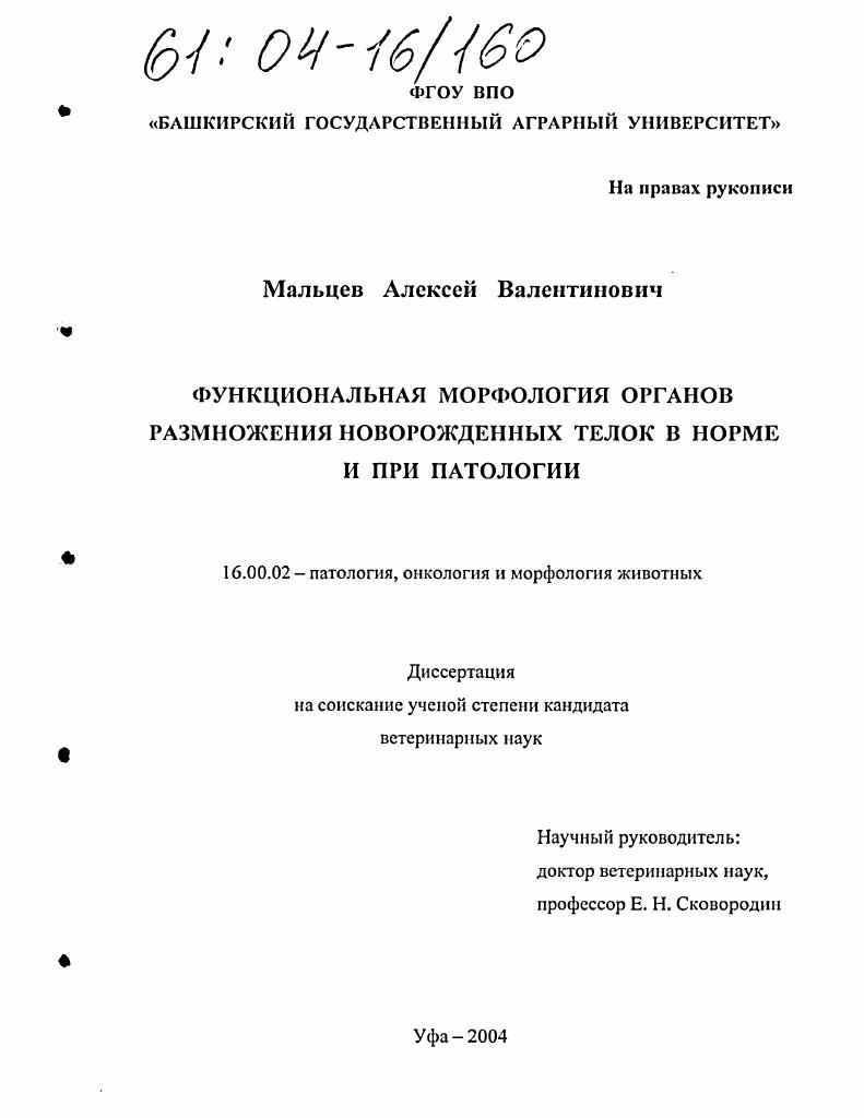 Функциональная морфология органов размножения новорожденных телок в норме и при патологии