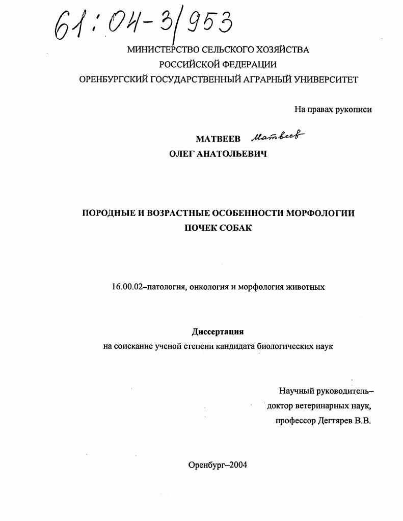 Породные и возрастные особенности морфологии почек собак