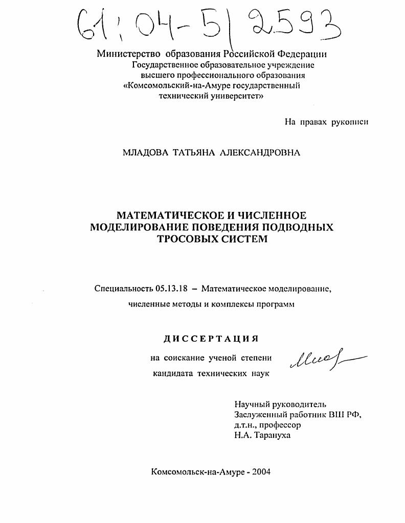 Математическое и численное моделирование поведения подводных тросовых систем