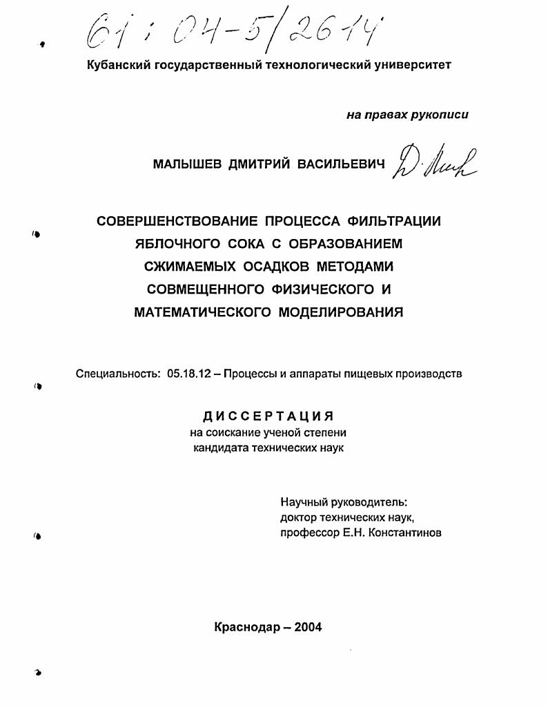 скачать диссертацию Совершенствование процесса фильтрации яблочного сока с образованием сжимаемых осадков методами совмещенного физического и математического моделирования Совершенствование процесса фильтрации яблочного сока с образованием сжимаемых осадков методами совмещенного физического и математического моделирования