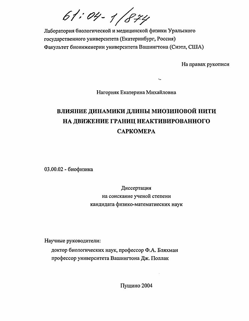 Влияние динамики длины миозиновой нити на движение границ неактивированного саркомера