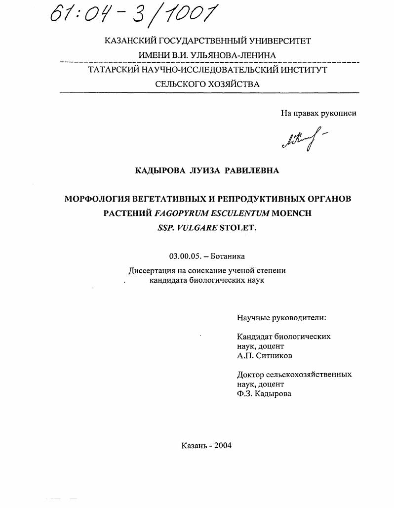 Морфология вегетативных и репродуктивных органов растений Fagopyrum esculentum Moench ssp. vulgare Stolet