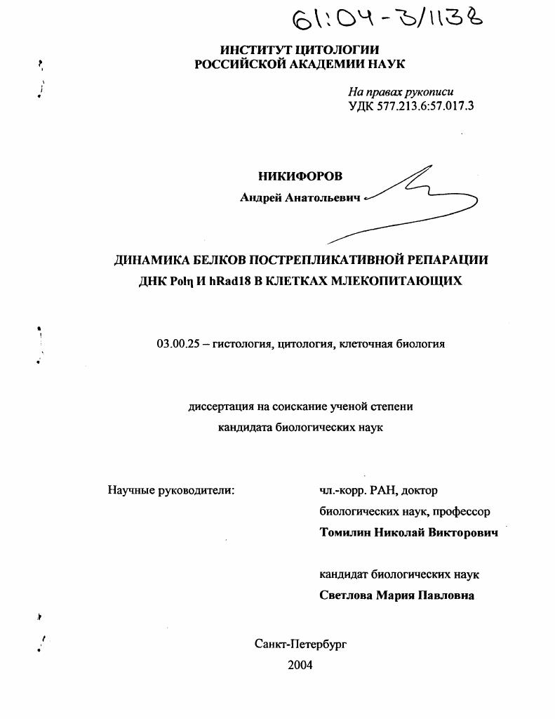 Динамика белков пострепликативной репарации ДНК Poln и hRad18 в клетках млекопитающих