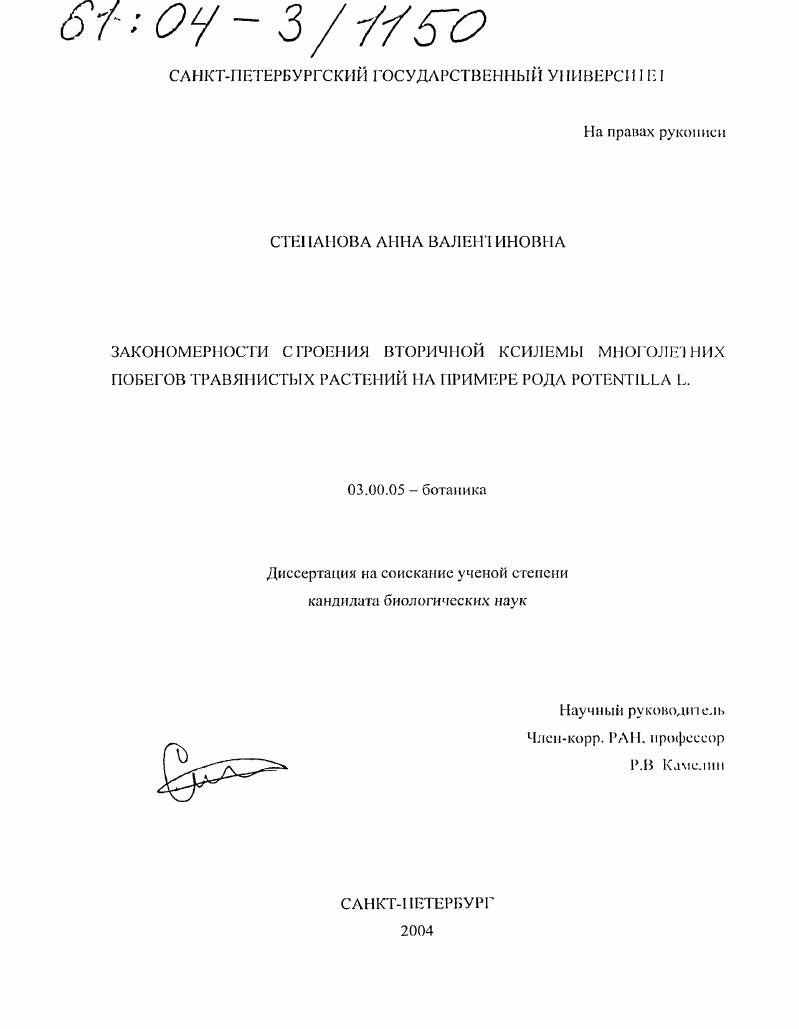 Закономерности строения вторичной ксилемы многолетних побегов травянистых растений на примере рода Potentilla L.