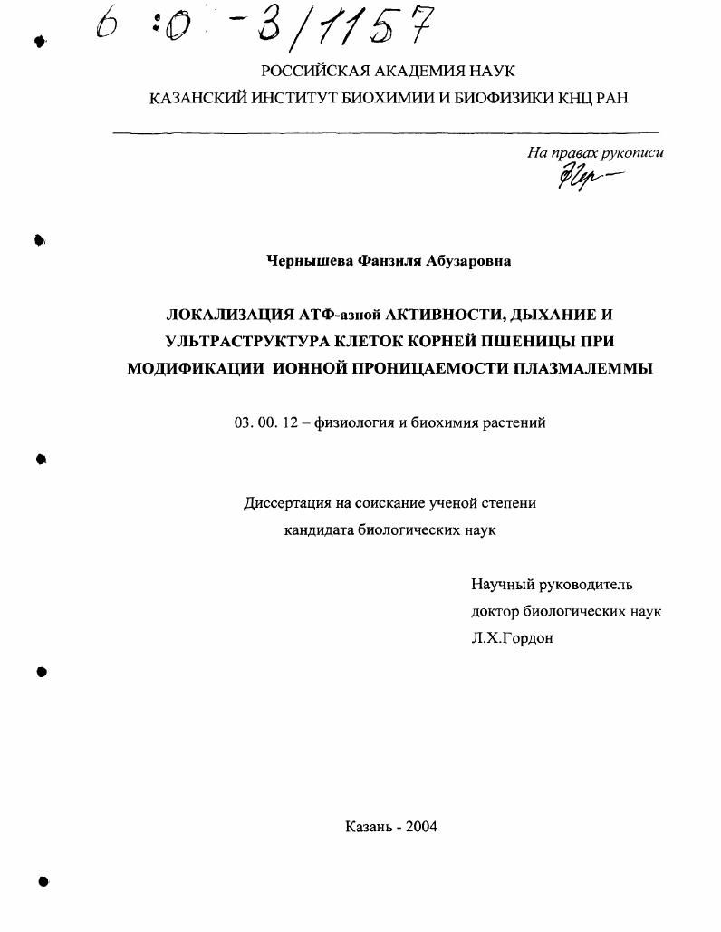 скачать диссертацию Локализация АТФ-азной активности, дыхание и ультраструктура клеток корней пшеницы при модификации ионной проницаемости плазмалеммы Локализация АТФ-азной активности, дыхание и ультраструктура клеток корней пшеницы при модификации ионной проницаемости плазмалеммы