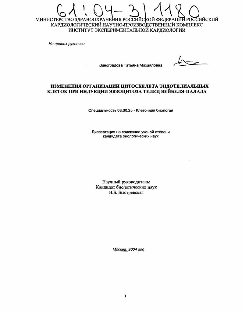 Изменение организации цитоскелета эндотелиальных клеток при индукции экзоцитоза телец Вейбеля-Палада