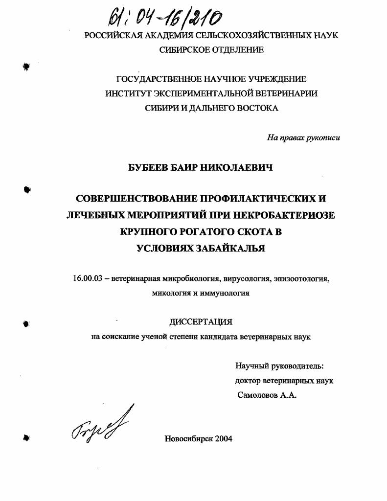 Совершенствование профилактических и лечебных мероприятий при некробактериозе крупного рогатого скота в условиях Забайкалья