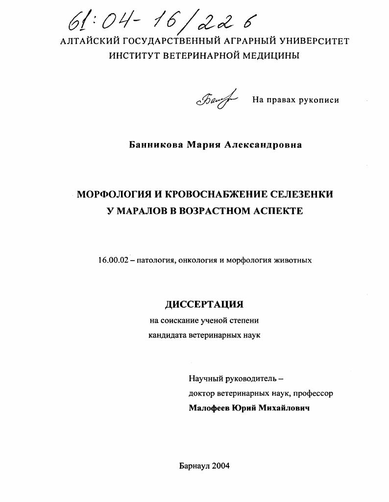 Морфология и кровоснабжение селезенки у маралов в возрастном аспекте