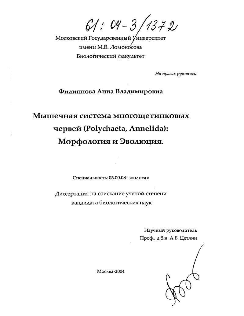 Мышечная система многощетинковых червей (Polychaeta, Annelida) : Морфология и эволюция