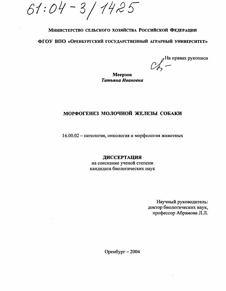 Морфогенез молочной железы собаки