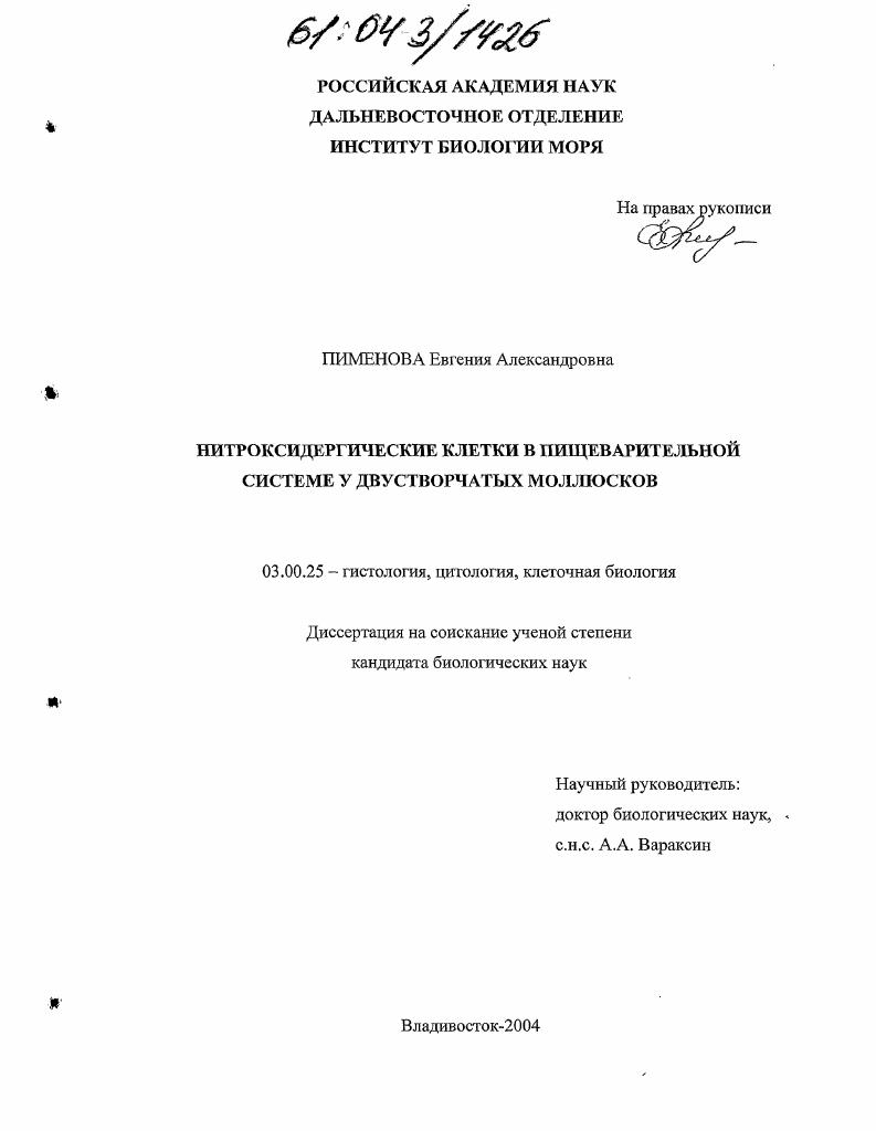 Нитроксидергические клетки в пищеварительной системе у двустворчатых моллюсков
