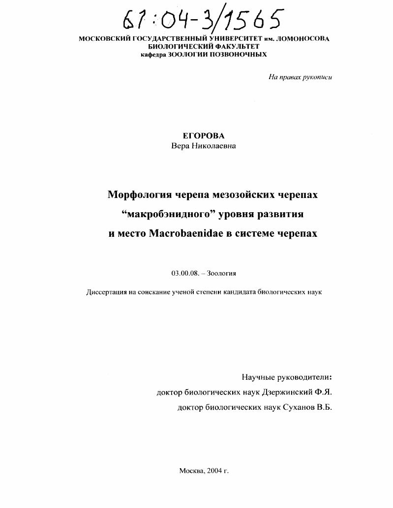 Морфология черепа мезозойских черепах "макробэнидного" уровня развития и место Macrobaenidae в системе черепах