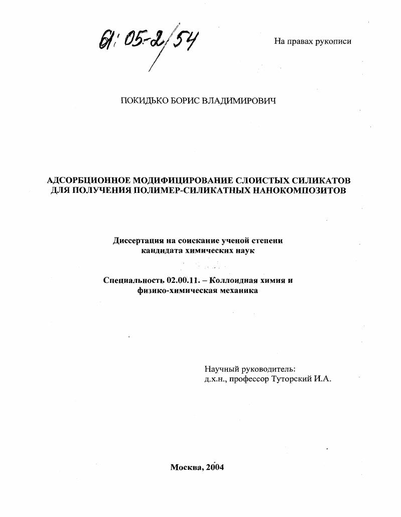 Адсорбционное модифицирование слоистых силикатов для получения полимер-силикатных нанокомпозитов