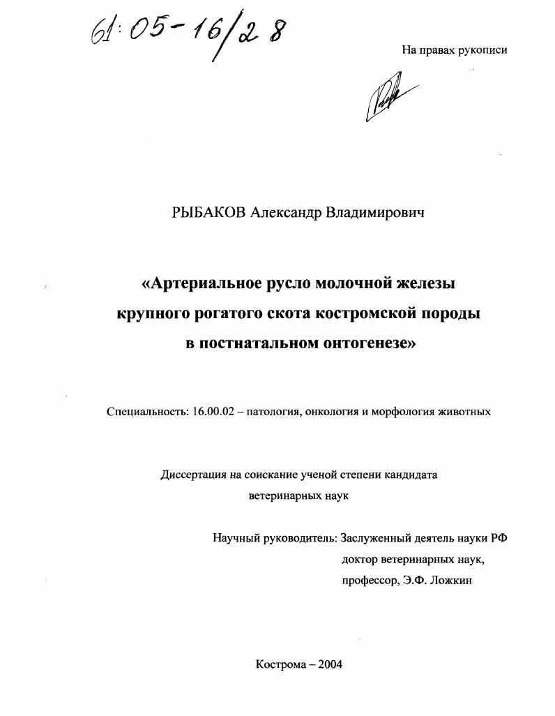Артериальное русло молочной железы крупного рогатого скота костромской породы в постнатальном онтогенезе