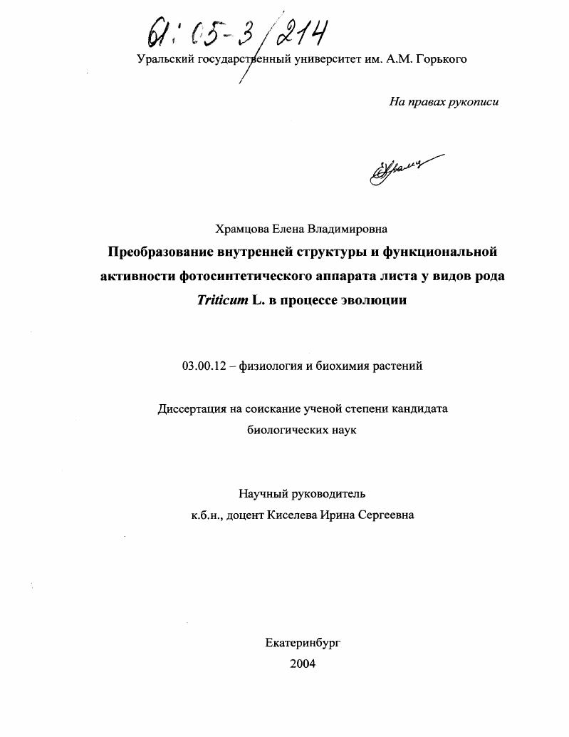 Преобразование внутренней структуры и функциональной активности фотосинтетического аппарата листа у видов рода Triticum L. в процессе эволюции