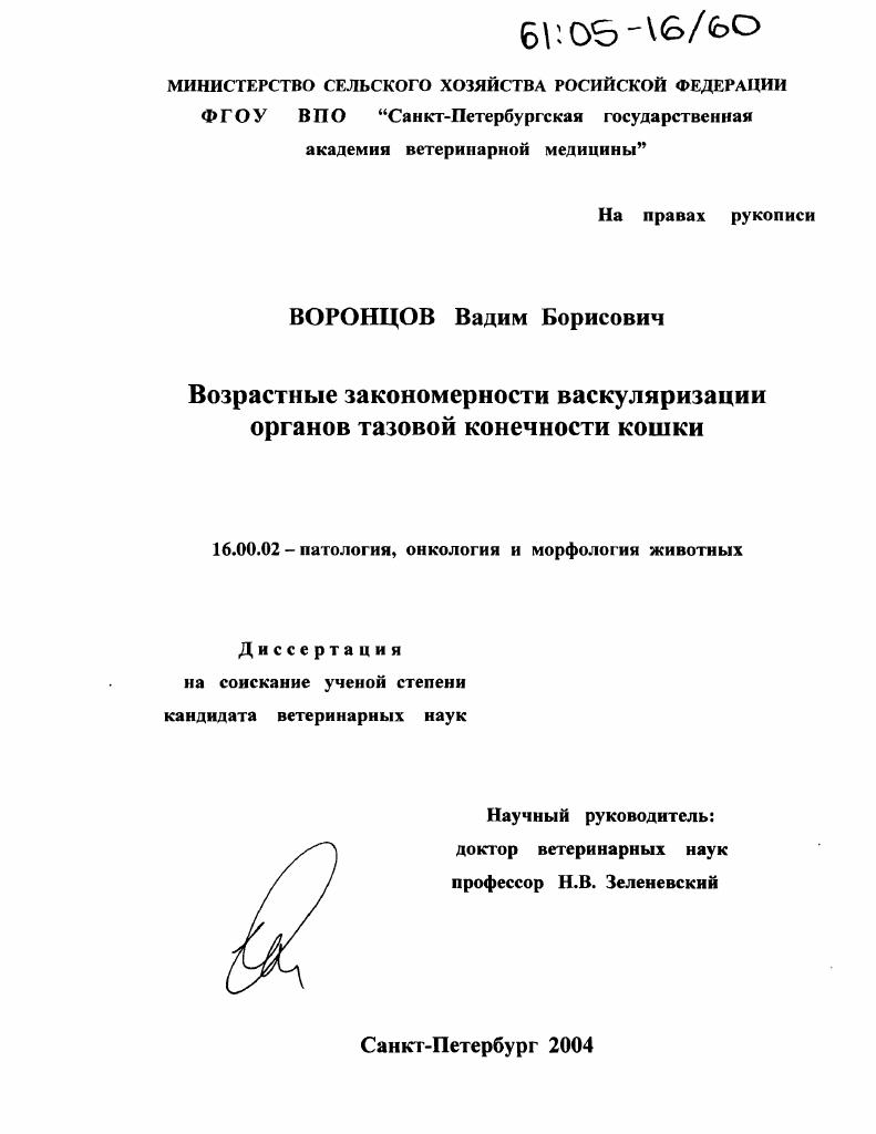 Возрастные закономерности васкуляризации органов тазовой конечности кошки