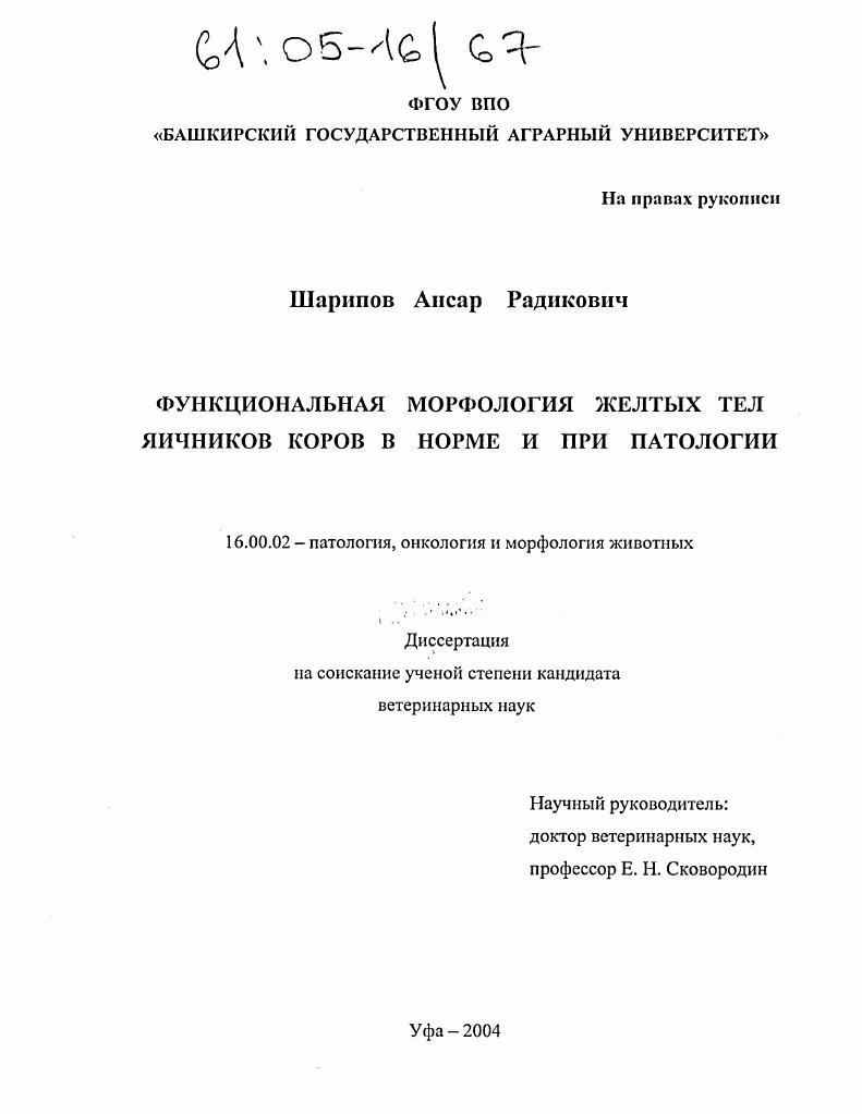 Функциональная морфология желтых тел яичников коров в норме и при патологии
