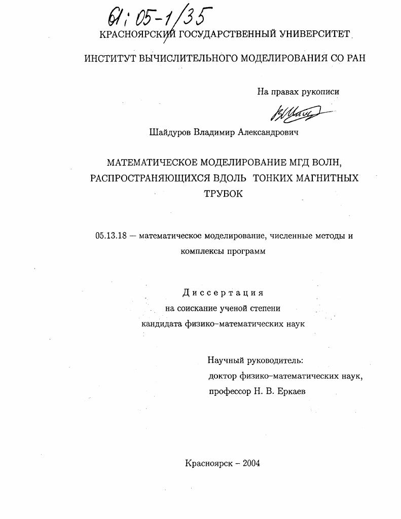 Математическое моделирование МГД волн, распространяющихся вдоль тонких магнитных трубок
