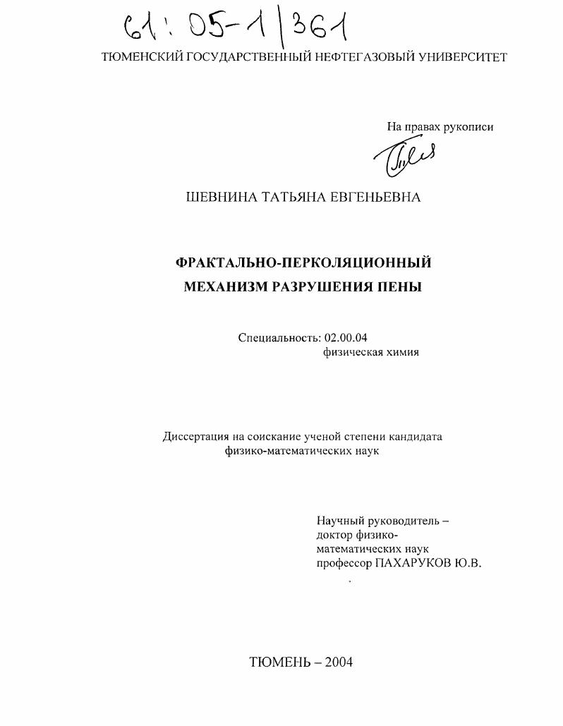 Фрактально-перколяционный механизм разрушения пены