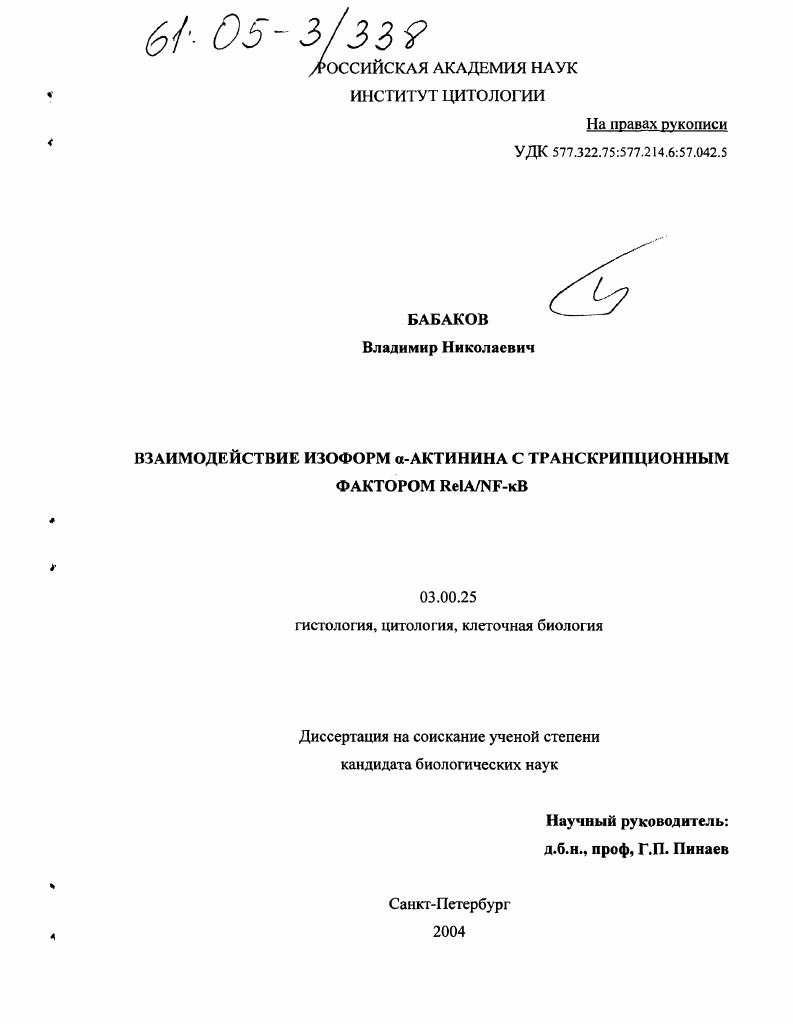 Взаимодействие изоформ α-актинина с транскрипционным фактором ReiA/NF-kB