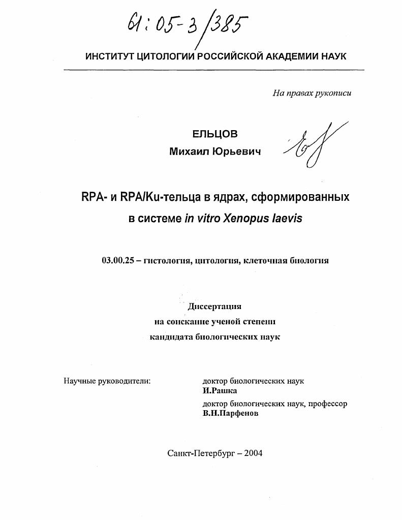 RPA- и RPA/Ku-тельца в ядрах, сформированных в системе in vitro Xenopus laevis