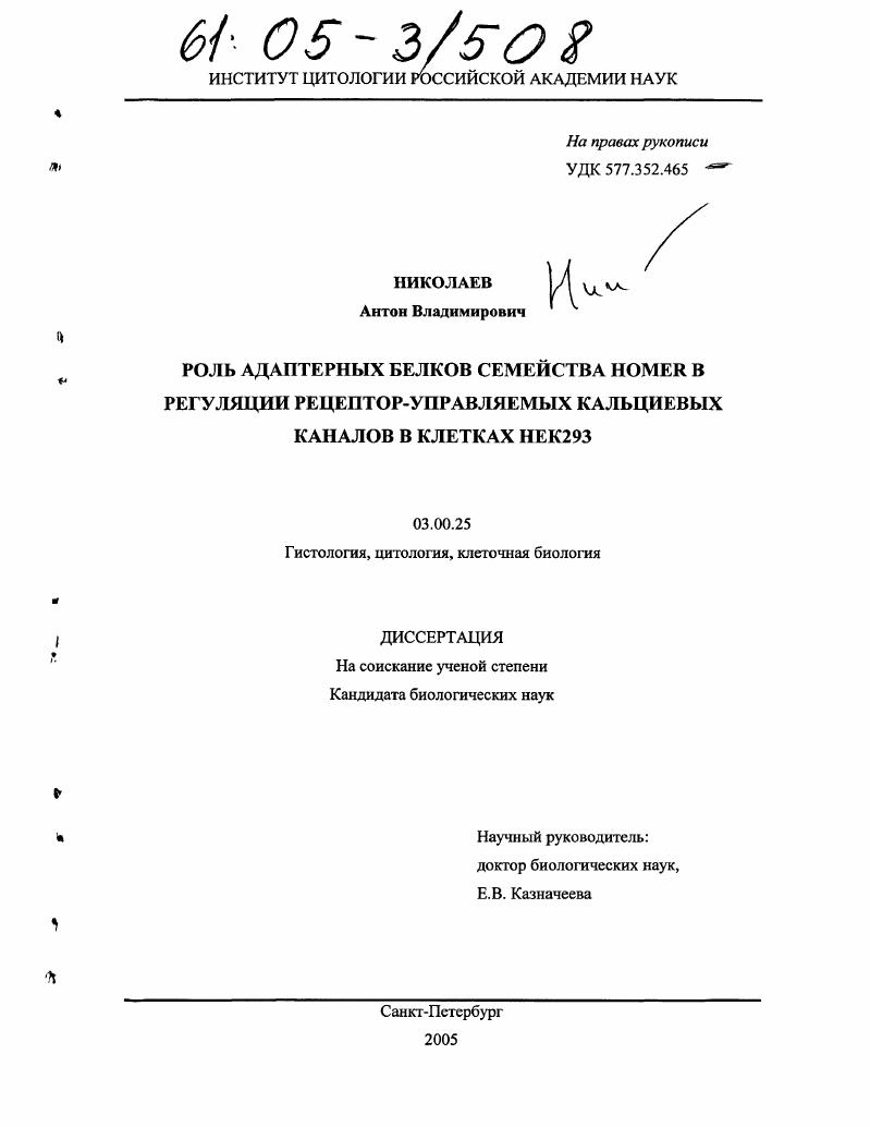 Роль адаптерных белков семейства Homer в регуляции рецептор-управляемых кальциевых каналов в клетках НЕК293