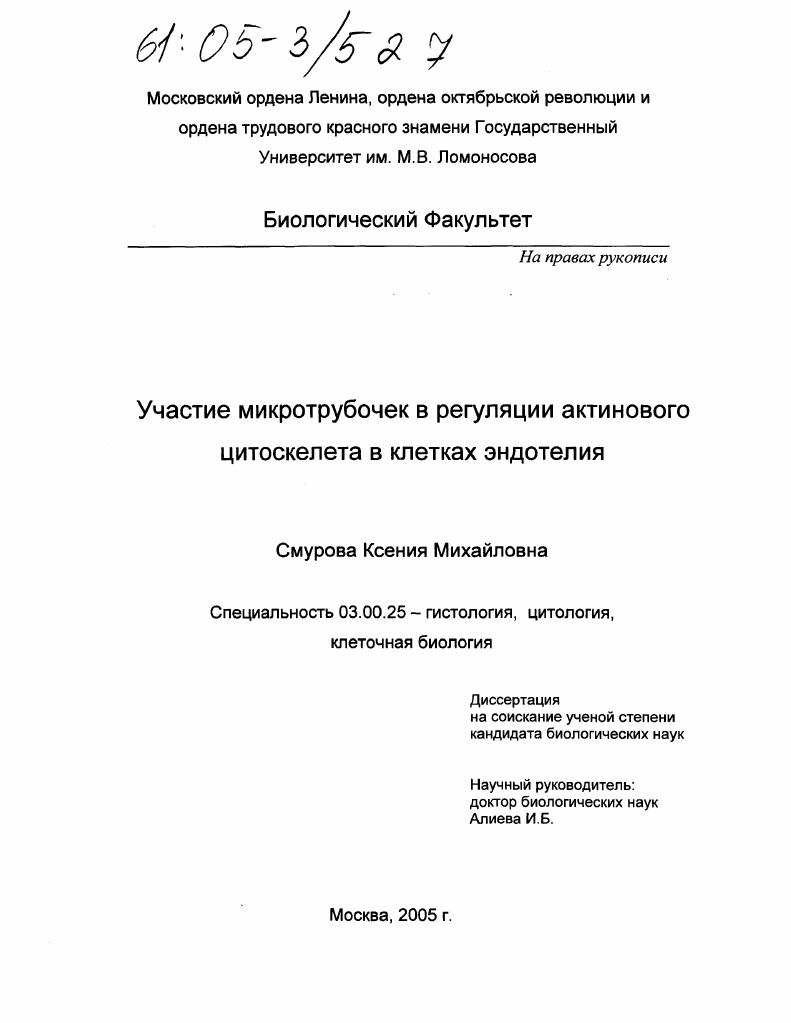 Участие микротрубочек в регуляции актинового цитоскелета в клетках эндотелия